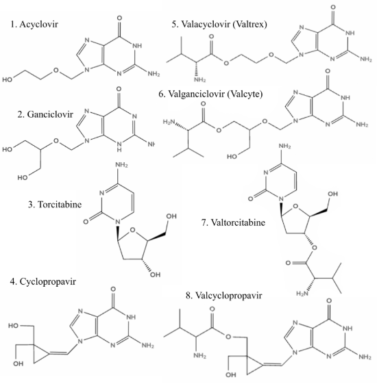 Molecules 1-8, 4 parent drugs and 4 prodrugs